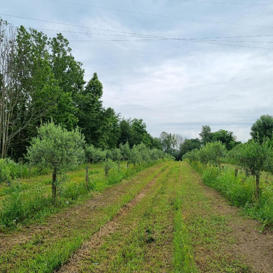 Corte Bottura Agriturismo Castelnuovo del Garda Exterior foto